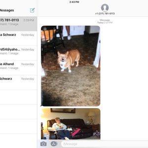 Meet your Posher, Delores